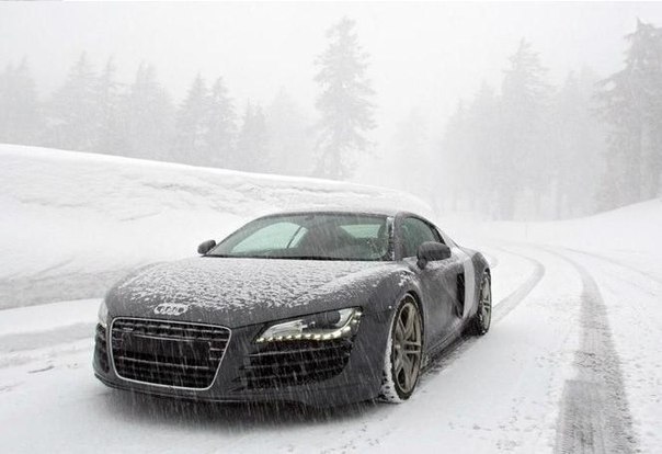 Audi R8