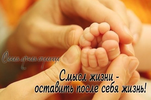 ������� �������� - 14 ������ 2016 � 21:24
