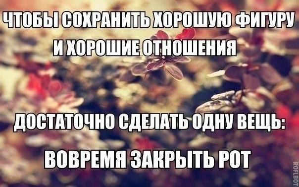   |  |  - 5  2015  10:32