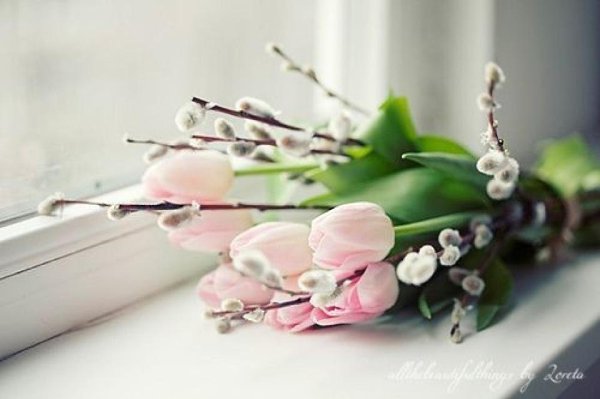 Есть две весны у человека -.Весна природы и души.Весна природы... Просто этоКогда ручей, журча, ...
