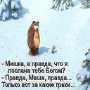 ���� �������, ����������, 52 ���� - ��������� 23 ������ 2015 � ������ ���� ����������