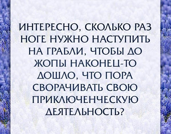 , ,  - 21  2016  21:16