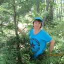 ���� �������, ����������� - ��������� 6 ������� 2015 � ������ ���� ����������