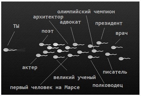  - 24  2015  10:30