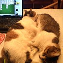 ���� ��������, �������� - ��������� 6 ������ 2016 � ������ ���� ����������