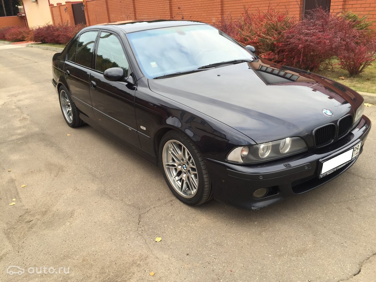  BMW M5 E39 . BMW E39 M5 2001  .  75  .    ... - 2