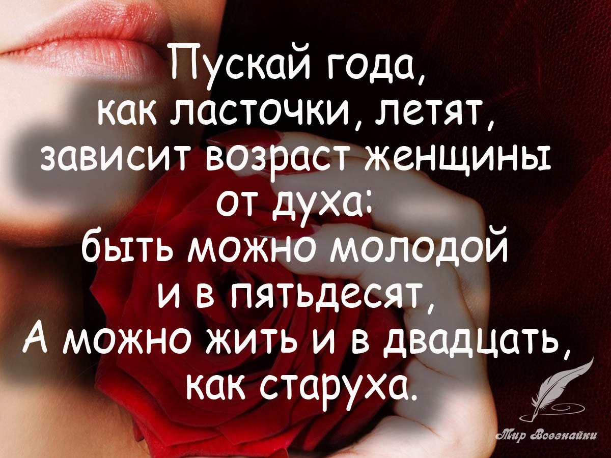        ,      - <a href=