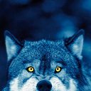 ���� No, ������, 33 ���� - ��������� 26 ������� 2015