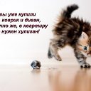 ���� ��������� (Super Star), �������� - ��������� 22 ������ 2016 � ������ ������ ��������
