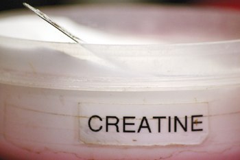    :   (Creatine monohydrate)    ,   ...