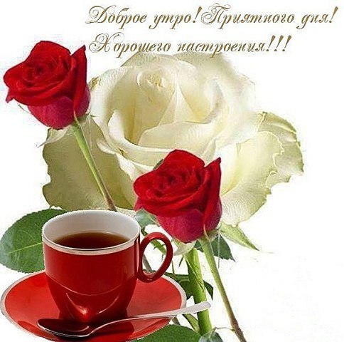      !!!  ?    ?    ?  ...