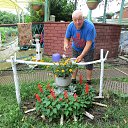 ���� ������, ����������, 81 ��� - ��������� 19 ������ 2015 � ������ �2015�