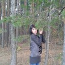 ���� �����, ������������, 43 ���� - ��������� 4 ������� 2015 � ������ �������