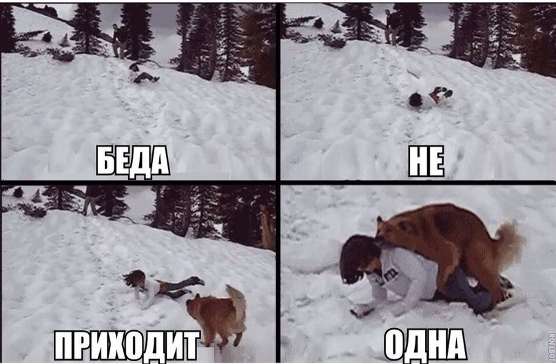  - 18  2015  14:31
