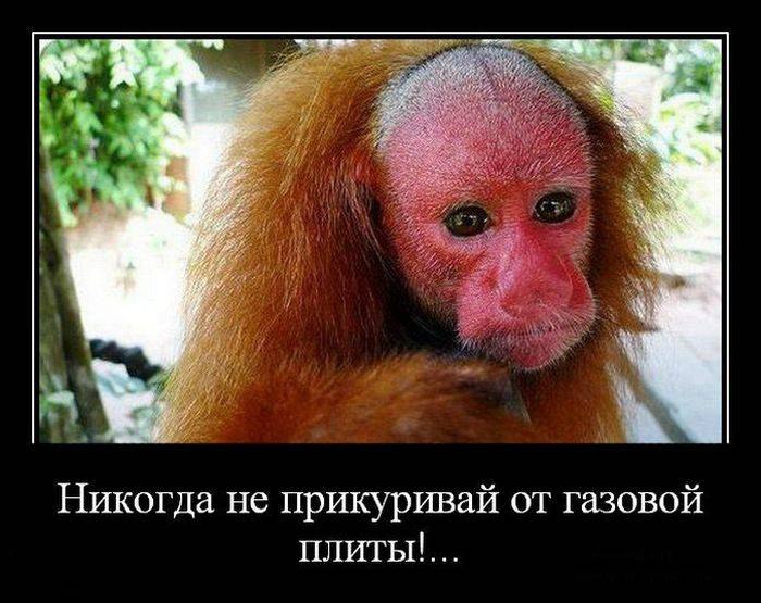 ����� - 24 ������� 2015 � 07:48