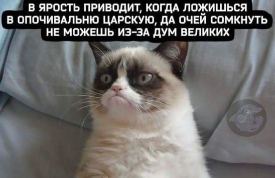 ***Victoria Viktorovna*** - 31  2016  07:19
