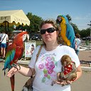 ���� �����, ������, 48 ��� - ��������� 11 ������ 2015 � ������ ���� ����������