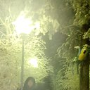 ���� ���, ��������, 49 ��� - ��������� 14 ������ 2015 � ������ ���� ����������