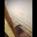���� Irina, ���������, 41 ��� - ��������� 22 ������ 2016 � ������ ������ ��������