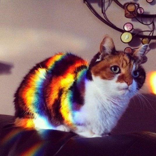  -  - 11  2016  09:25