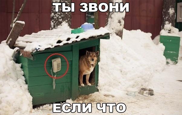  - 8  2016  01:58