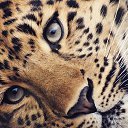 ���� �������, ������, 47 ��� - ��������� 13 ������ 2015 � ������ ���� ����������
