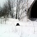 ���� ������, ��������, 31 ��� - ��������� 9 ������� 2015 � ������ ���� ���� ������