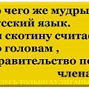 ���� �������, �������, 72 ���� - ��������� 8 ������� 2016 � ������ ������ ��������