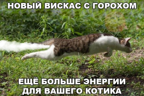     - 1  2015  07:02