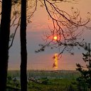  ,  , 63  -  3  2016      ,...