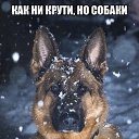 ���� ������, �����, 50 ��� - ��������� 29 ������� 2015 � ������ ������� �������