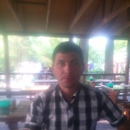 ���������, ���������, 41 ���