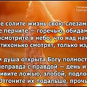 ���� ����., �����-�������, 62 ���� - ��������� 4 ������ 2015 � ������ ������ ��������