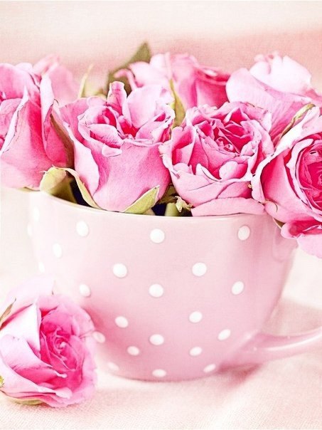    - 10  2015  05:29 - 4