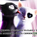 ���� ������, ������������ - ��������� 15 ������ 2016 � ������ ������ ��������