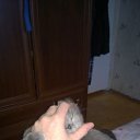 ���� �����, �����, 45 ��� - ��������� 13 ������� 2015 � ������ ���� ����������