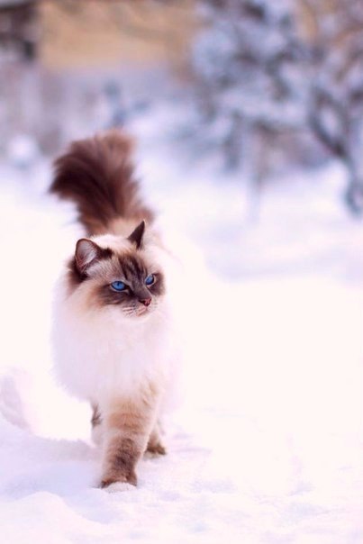 Art & Fun - 19  2016  04:37 - 4