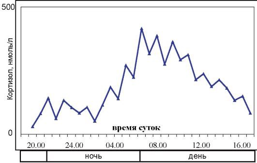 Кортизол.Кортизол (гидрокортизон, или 17-гидрокортикостерон) - жизненно важный стероидный гормон, ...
