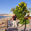 ����� ������ �� ������� ���� ����������