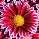 ���� Aleksey, ���������, 44 ���� - ��������� 15 ������ 2015 � ������ ������������