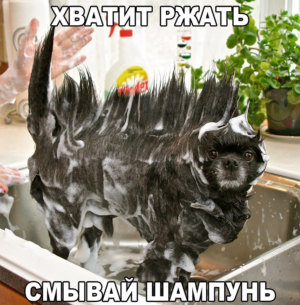    :D - 24  2016  15:30