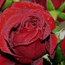 ���� Andrei, �������, 60 ��� - ��������� 13 ������ 2015 � ������ �����ۻ