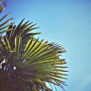  , , 32  -  11  2016   Amateur Photographer-Orxan Abdullazade