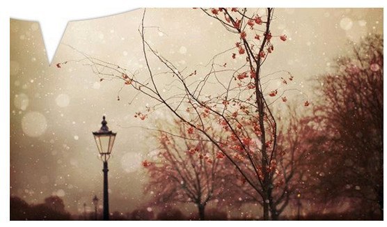 "  ,     ,  !   ..." ...