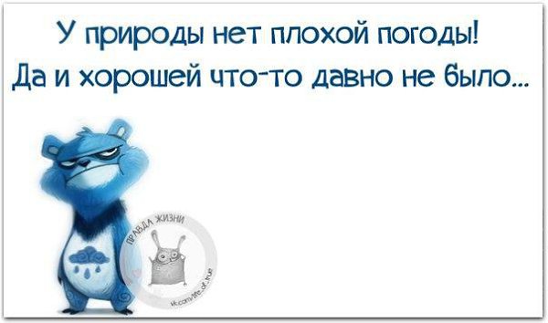   - 6  2016  23:16