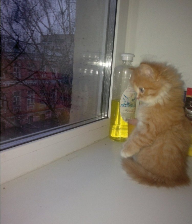      :3
