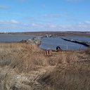 ���� ����, �����-���������, 47 ��� - ��������� 27 ������� 2016 � ������ ������ ��������