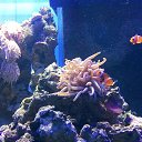 ���� ������, ������, 45 ��� - ��������� 20 ������ 2016 � ������ ���� ����������