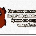 ���� ��������, ���� - ��������� 15 ������ 2016 � ������ ������ ��������