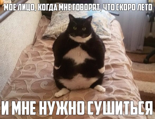  -   - 27  2016  19:45